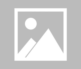 爱游戏-关于库里迎来五赛季高光表现，加拿大队球迷沸腾！的信息